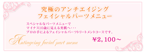 ���ɂ̃A���`�G�C�W���O �t�F�C�V�����[�p�[�c���j���[�@�t�F�C�V�����p�[�c�g���[�g�����g�R�[�X�ł��B